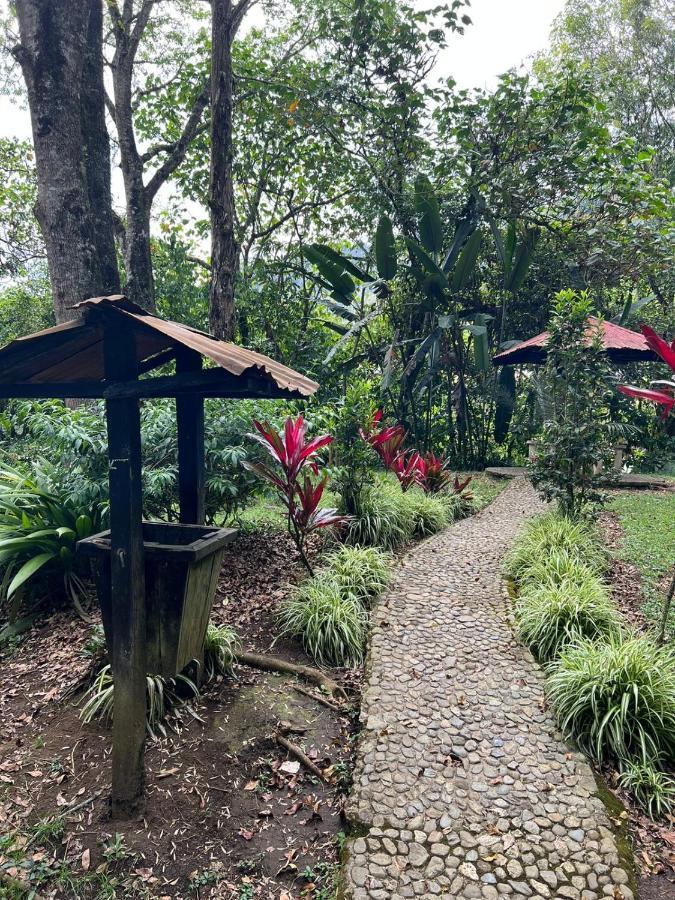 Spanglish Colombia Hotel Jericoc  Ngoại thất bức ảnh